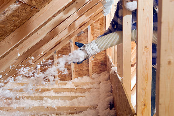 Best Basement Insulation  in Locust Valley, NY